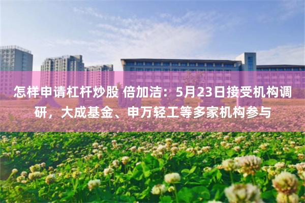怎样申请杠杆炒股 倍加洁：5月23日接受机构调研，大成基金、申万轻工等多家机构参与