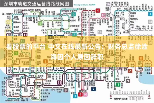 看股票的平台 中文在线最新公告：财务总监徐淦海因个人原因辞职