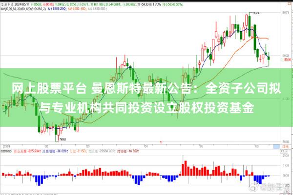 网上股票平台 曼恩斯特最新公告：全资子公司拟与专业机构共同投资设立股权投资基金