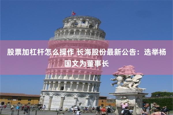 股票加杠杆怎么操作 长海股份最新公告：选举杨国文为董事长