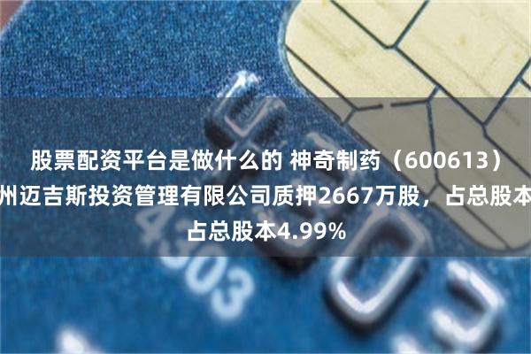 股票配资平台是做什么的 神奇制药（600613）股东贵州迈吉斯投资管理有限公司质押2667万股，占总股本4.99%