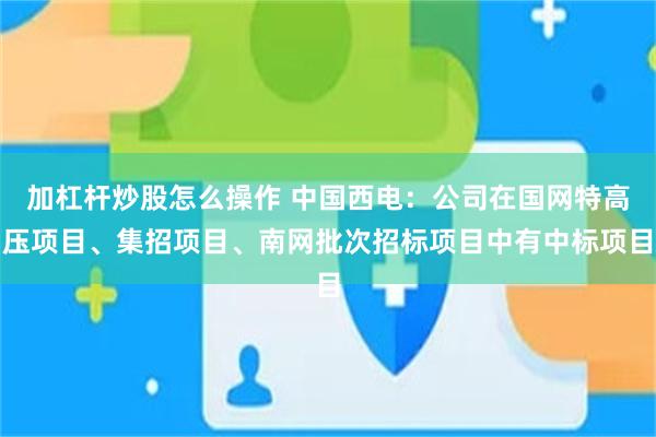 加杠杆炒股怎么操作 中国西电：公司在国网特高压项目、集招项目、南网批次招标项目中有中标项目