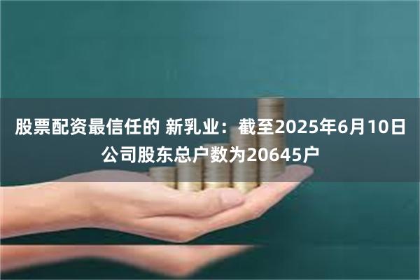 股票配资最信任的 新乳业：截至2025年6月10日公司股东总户数为20645户