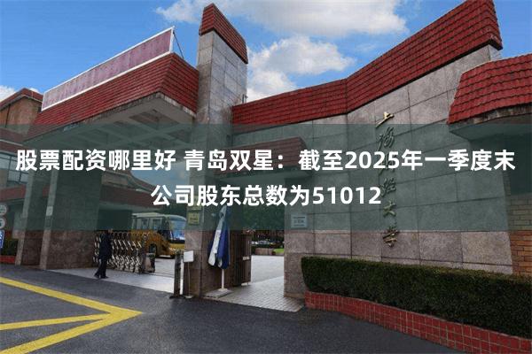 股票配资哪里好 青岛双星：截至2025年一季度末公司股东总数为51012