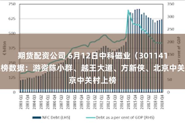 期货配资公司 6月12日中科磁业（301141）龙虎榜数据：游资陈小群、越王大道、方新侠、北京中关村上榜
