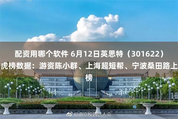 配资用哪个软件 6月12日英思特（301622）龙虎榜数据：游资陈小群、上海超短帮、宁波桑田路上榜
