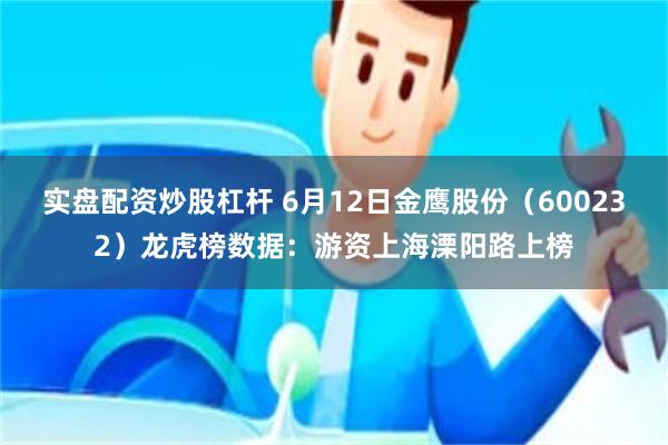实盘配资炒股杠杆 6月12日金鹰股份（600232）龙虎榜数据：游资上海溧阳路上榜