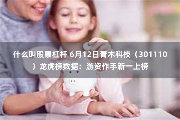什么叫股票杠杆 6月12日青木科技（301110）龙虎榜数据：游资作手新一上榜