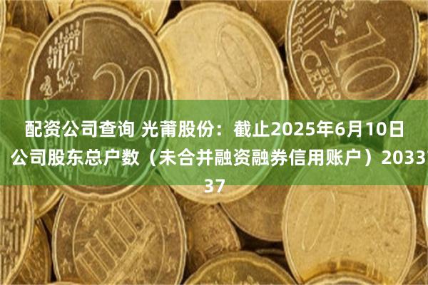 配资公司查询 光莆股份：截止2025年6月10日，公司股东总户数（未合并融资融券信用账户）20337