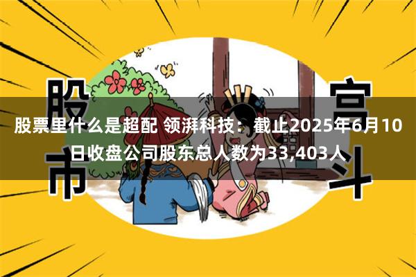 股票里什么是超配 领湃科技：截止2025年6月10日收盘公司股东总人数为33,403人