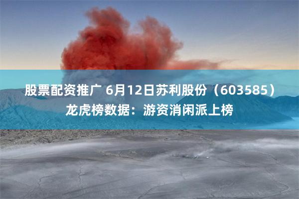股票配资推广 6月12日苏利股份（603585）龙虎榜数据：游资消闲派上榜