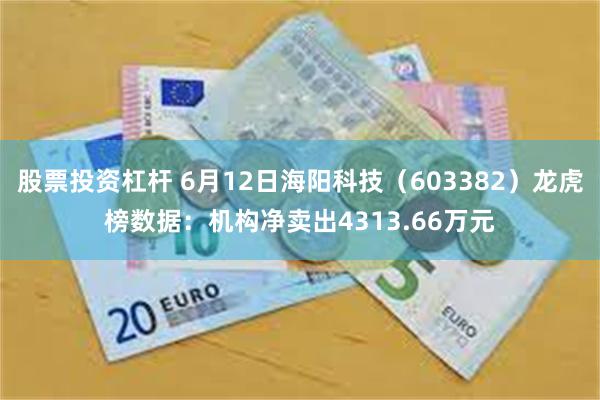 股票投资杠杆 6月12日海阳科技（603382）龙虎榜数据：机构净卖出4313.66万元