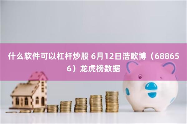 什么软件可以杠杆炒股 6月12日浩欧博（688656）龙虎榜数据