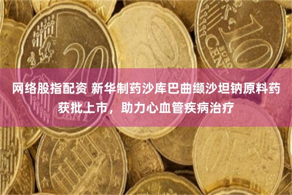 网络股指配资 新华制药沙库巴曲缬沙坦钠原料药获批上市，助力心血管疾病治疗