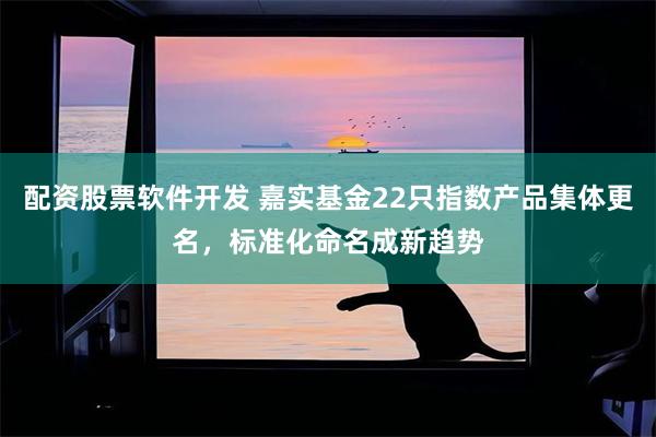 配资股票软件开发 嘉实基金22只指数产品集体更名，标准化命名成新趋势
