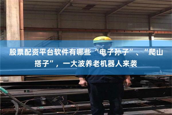 股票配资平台软件有哪些 “电子孙子”、“爬山搭子”，一大波养老机器人来袭