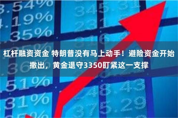 杠杆融资资金 特朗普没有马上动手！避险资金开始撤出，黄金退守3350盯紧这一支撑