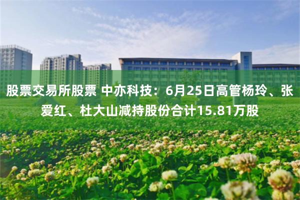 股票交易所股票 中亦科技：6月25日高管杨玲、张爱红、杜大山减持股份合计15.81万股