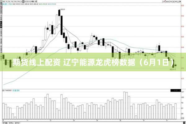 期货线上配资 辽宁能源龙虎榜数据（6月1日）