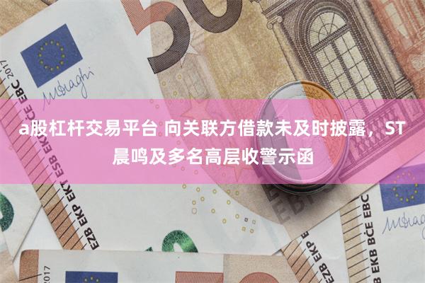 a股杠杆交易平台 向关联方借款未及时披露，ST晨鸣及多名高层收警示函