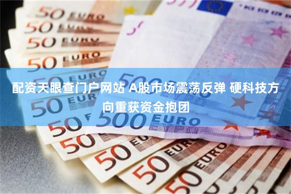 配资天眼查门户网站 A股市场震荡反弹 硬科技方向重获资金抱团