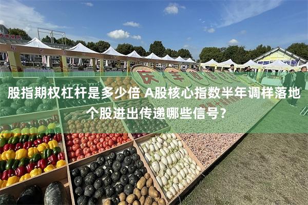 股指期权杠杆是多少倍 A股核心指数半年调样落地 个股进出传递哪些信号？