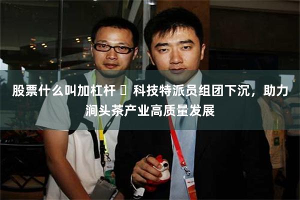 股票什么叫加杠杆 ​科技特派员组团下沉，助力涧头茶产业高质量发展