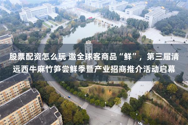 股票配资怎么玩 邀全球客商品“鲜”，第三届清远西牛麻竹笋尝鲜季暨产业招商推介活动启幕