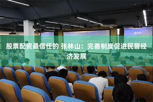 股票配资最信任的 张林山：完善制度促进民营经济发展