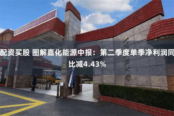 配资买股 图解嘉化能源中报：第二季度单季净利润同比减4.43%