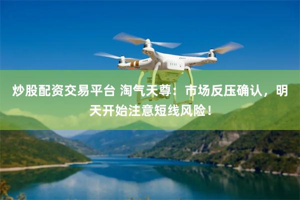 炒股配资交易平台 淘气天尊：市场反压确认，明天开始注意短线风险！