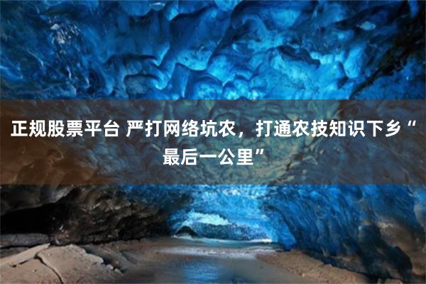 正规股票平台 严打网络坑农，打通农技知识下乡“最后一公里”