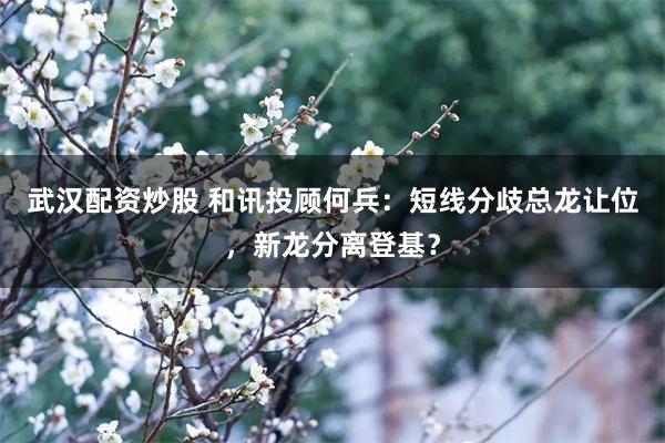 武汉配资炒股 和讯投顾何兵：短线分歧总龙让位，新龙分离登基？