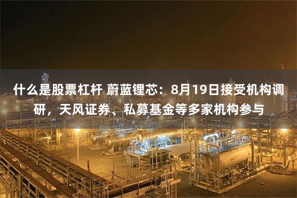 什么是股票杠杆 蔚蓝锂芯：8月19日接受机构调研，天风证券、私募基金等多家机构参与