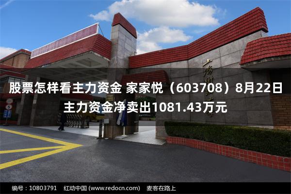 股票怎样看主力资金 家家悦（603708）8月22日主力资金净卖出1081.43万元