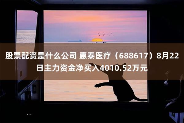 股票配资是什么公司 惠泰医疗（688617）8月22日主力资金净买入4010.52万元