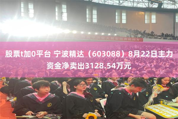 股票t加0平台 宁波精达（603088）8月22日主力资金净卖出3128.54万元
