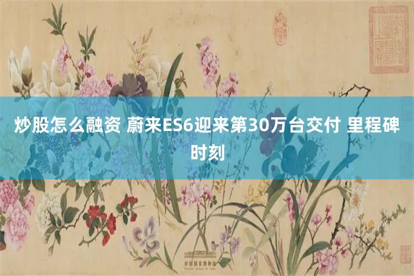 炒股怎么融资 蔚来ES6迎来第30万台交付 里程碑时刻