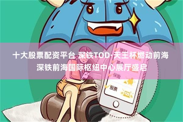十大股票配资平台 深铁TOD·天王杯燃动前海 深铁前海国际枢纽中心展厅盛启