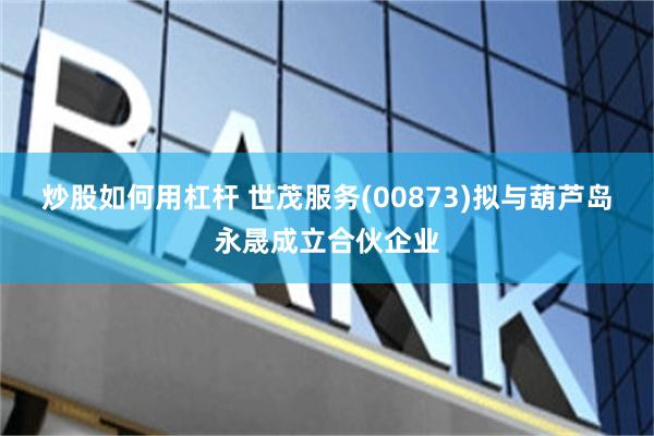 炒股如何用杠杆 世茂服务(00873)拟与葫芦岛永晟成立合伙企业