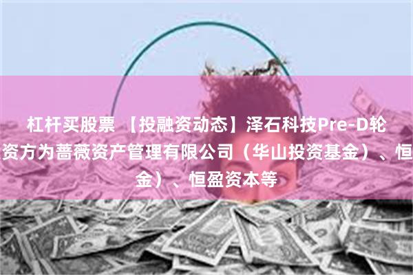 杠杆买股票 【投融资动态】泽石科技Pre-D轮融资，投资方为蔷薇资产管理有限公司（华山投资基金）、恒盈资本等