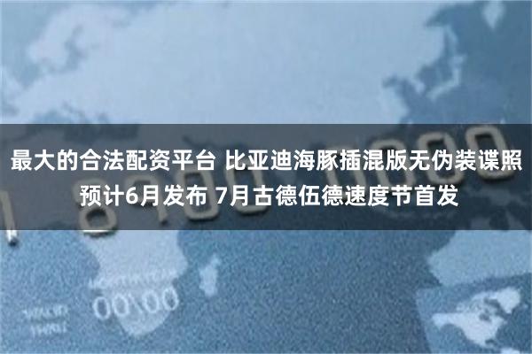 最大的合法配资平台 比亚迪海豚插混版无伪装谍照 预计6月发布 7月古德伍德速度节首发