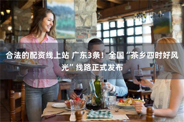 合法的配资线上站 广东3条！全国“茶乡四时好风光”线路正式发布