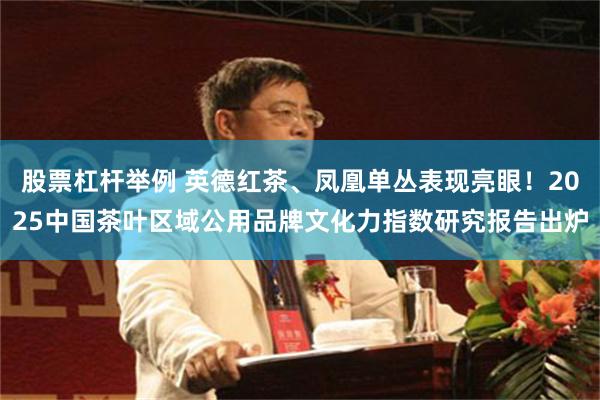 股票杠杆举例 英德红茶、凤凰单丛表现亮眼！2025中国茶叶区域公用品牌文化力指数研究报告出炉