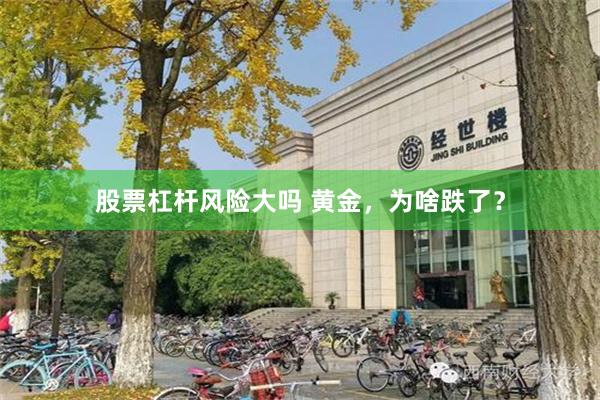 股票杠杆风险大吗 黄金，为啥跌了？