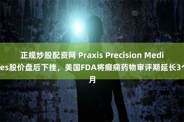正规炒股配资网 Praxis Precision Medicines股价盘后下挫，美国FDA将癫痫药物审评期延长3个月
