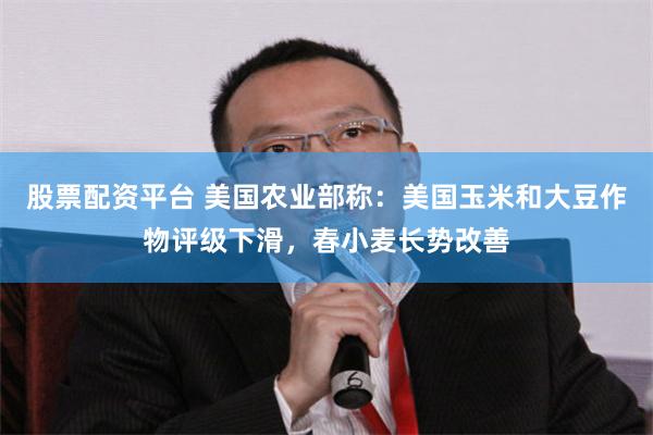 股票配资平台 美国农业部称：美国玉米和大豆作物评级下滑，春小麦长势改善