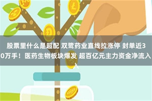 股票里什么是超配 双鹭药业直线拉涨停 封单近30万手！医药生物板块爆发 超百亿元主力资金净流入