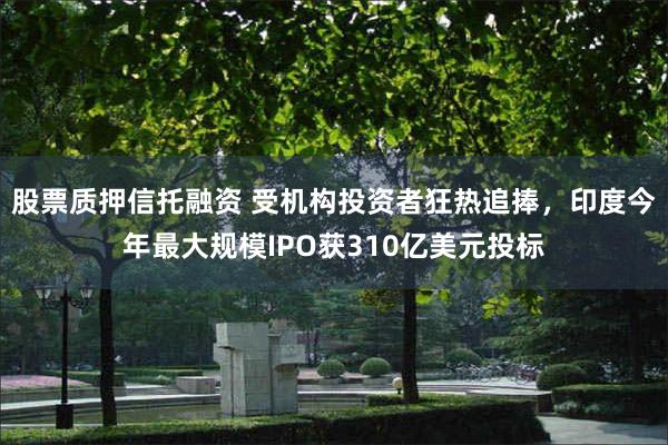 股票质押信托融资 受机构投资者狂热追捧，印度今年最大规模IPO获310亿美元投标