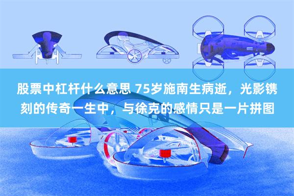 股票中杠杆什么意思 75岁施南生病逝，光影镌刻的传奇一生中，与徐克的感情只是一片拼图
